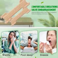 Gambar Rhinitis Patch Treatment Chronic Allergic Sinusitis Sneeze Stuffy Nasal Congestion Itching Relief Better Breath Nose Strip 30Pcs dari cipto009 undefined 1 Tokopedia