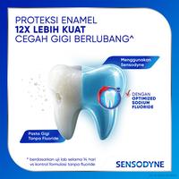 Gambar Sensodyne Toothpaste Pasta Gigi Cegah Gigi Berlubang dan Sensitif 3 x 60gr - TRIPLEPACK dari Sensodyne Indonesia undefined 5 Tokopedia