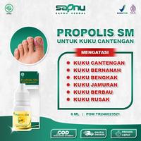 Gambar Obat Kuku Cantengan dan Bernanah, Bau Busuk dan Berjamur Herbal Propolis SM Nail Kering dari Sapnu Herbal ID undefined 1 Tokopedia