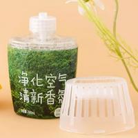 Gambar Pengharum Ruangan / Deodoran Tanaman/ Parfum Ruangan /Pengharum Mobil / Pewangi Ruangan Tahan Lama dari Dinaannashop undefined 4 Tokopedia