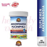 Gambar READY Vitalitown Akkermansia Muciniphila 2 Billion TFU with Prebiotic Chicory Inulin - 60 Veggie Capsules, Non-GMO, Gluten Free dari Planet Fit undefined 1 Tokopedia