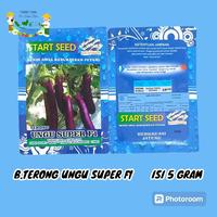 Gambar BIBIT BENIH TERONG UNGU SUPER F1 ISI 5 GRAM (±1100BUTIR) START SEED Setara Benih M72 Panah Merah Tanaman Hijau dari SRIDEWITANI undefined 5 Tokopedia