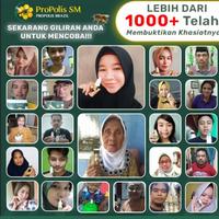 Gambar Propolis SM - Obat Leukosit Tinggi, Penurun Sel Darah Putih Tinggi Leukositosis, Kelebihan Sel Darah dari Jaya Herbal Shop ID undefined 3 Tokopedia