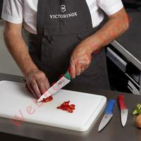 Gambar Victorinox Chef Knife 25cm Kitchen and Carving Knife Fibrox Handle - Blue dari Webhorecastore undefined 5 Tokopedia