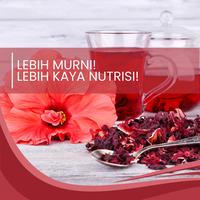 Gambar Moera - Beets Infusion Teabag Premium Herbifams - Seduhan Botanikal Buah Bit Organik - Teh Celup Buah Bit Premium - Pouch dari CV Agro Sehat Nusantara undefined 5 Tokopedia