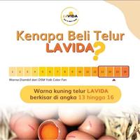 Gambar PROMO TELUR LAVIDA OMEGA 3 ASLI BUKAN SUNTIKAN - 1 TRAY/30 BUTIR dari Yindaki store undefined 3 Tokopedia