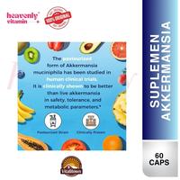 Gambar Vitalitown Akkermansia Muciniphila 2 Billion TFU with Prebiotic Chicory Inulin - 60 Veggie Capsules, Non-GMO, Gluten Free dari heavenlyvitamin undefined 4 Tokopedia