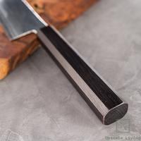 Gambar Pisau Jepang Hatsukokoro Ginsou Silver#3 Kiritsuke Gyuto 210mm dari Upscale Living undefined 3 Tokopedia