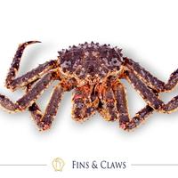 Gambar Ready Live Whole Alaskan King Crab Ready Ya Kak - 3 Kg dari ExoFishing Biota undefined 3 Tokopedia