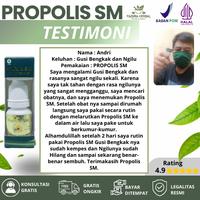Gambar Sakit Gigi Gusi Bengkak Gusi Bernanah Polip Gigi  Mulut Bau Dengan Propolis SM dari Fazura Herbal undefined 3 Tokopedia