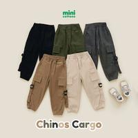 Gambar Minicottons Celana Chinos Cargo Anak Laki-laki Usia 1-12 Tahun / Celana Panjang Anak / Celana Anak Cargo Katun Kids - Army, 11-12 tahun dari Minicottons Indonesia undefined 2 Tokopedia