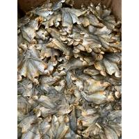 Gambar Ikan asin sepat kipas kering super - 250 gr dari oleh2khas minang undefined 1 Tokopedia