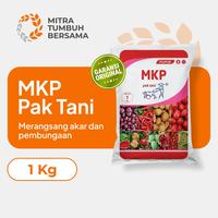Gambar Mitra Tumbuh – Pupuk MKP Pak Tani Original Tinggi Fosfat dan Kalium untuk Bunga dan Buah 1 Kg Kristal Tanaman Putih Strawberry dari Mitra Tumbuh Bersama undefined 1 Tokopedia