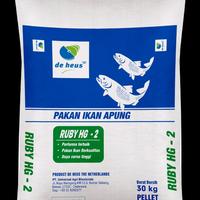Gambar RUBY HG Pakan ikan untuk nila,gurame,mas,patin ready Butiran pakan  2mm,3mm,5mm protein 28% - kemasan 1 sak 30kg dari AZZA PS undefined 1 Tokopedia
