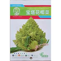 Gambar 140 Butir Biji Benih Sayuran Brokoli Romanesco | Brokoli Italia | Romanesco Broccoli (Kemasan Original Pabrik Impor) dari superior Seeds Center undefined 2 Tokopedia