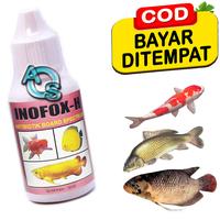 Gambar Inofox H Obat Koreng Luka Jamur Ikan Hias Dropsy Fast And Effective Completed Formula dari SILVERA undefined 1 Tokopedia