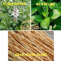 Gambar Paket hemat Tanaman Daun keji beling/akar alang-alang/daun kumis kucing siap kirim dari Zerrostore_NEW undefined 1 Tokopedia