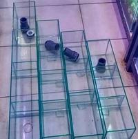 Gambar FILTER TALANG KACA 40*10*15 pompa udara aquarium random aquarium semut full set aerator kolam tanpa listrik ph alat gelembung per leng dari Aqua Londho_NEW undefined 2 Tokopedia