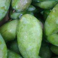 Gambar TERLARIS mangga kiojay manis asem seger mentah mengkel READY - 1 kg dari CV SUMBER REZEKl undefined 1 Tokopedia