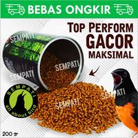 Gambar TOP FIGHTER MURAI BATU SEMPATI PAKAN BURUNG MURAI JA18 dari Sempati Bird Shop undefined 1 Tokopedia