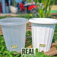 Gambar pot yogap merah 12 cm isi 12 pcs dari ashila nursery undefined 3 Tokopedia