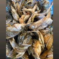 Gambar Ikan Turiak Goreng Original (250 gr) - 250 gr dari Bilih Goreng Enak Akbar undefined 1 Tokopedia