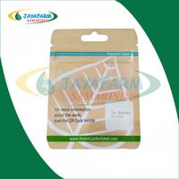 Gambar Benih Bibit Tanaman Cabe / Cabai Jalapeno Tam 15 Seed - HGS dari Jayafarm Hidroponik Samarinda undefined 2 Tokopedia