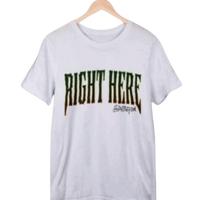 Gambar T SHIRT 17 RIGHT HERE KAOS SVT RIGHT HERE KONSER T SHIRT CARAT SEVENTEEN CONCERT SEVENTEEN EXSLUSIVE SIZE M-XXL - M LD 105 BB 45-60, HITAM dari KPOP ADDICT 3 undefined 2 Tokopedia