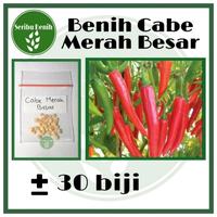 Gambar 30 Benih Cabe Merah Besar Unggul SIMPATIK Tahan Virus - Bibit Seed Tanaman Berkualitas Ecer [SERIBU] dari Seribu Benih undefined 1 Tokopedia