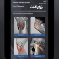 Gambar Knee Support Knee Pad Pelindung Lutut Dekker ALPHA ADV Outdoor (Sepasang) Olahraga deker Busa Sepak Tangan Kaki - Knee Pad, S dari ALPHA ADV_NEW undefined 2 Tokopedia