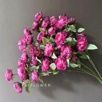 Gambar BUNGA ARTIFICIAL Peony Inggris 5 Kuntum Bunga Artificial Dekorasi pelaminan pernikahan seserahan hantaran rangkai bunga vas - PE Putih dari elflowerstore undefined 1 Tokopedia