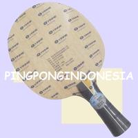 Gambar Yinhe Pro 05 - Blade Kayu Pingpong Tenis Meja Bat Bet Pro05 Pro-05 - FL dari PINGPONGINDONESIA undefined 3 Tokopedia