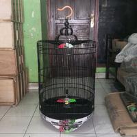 Gambar KANDANG MURAI RAFI JAYA TYPE AIRBRUSH NOMOR 3 - SANGKAR BURUNG dari AN NUR ONLINE undefined 2 Tokopedia