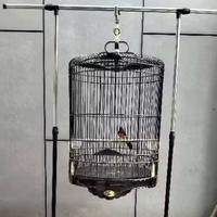 Gambar Gantungan Sangkar Burung Gantungan Jemur Burung Stand Hanger Jemuran Multifungsi Serbaguna dari qopqweqpo undefined 1 Tokopedia