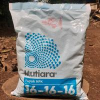 Gambar pupuk npk mutiara 16 16 16 1 kg dari SAUNG BIBIT BT undefined 5 Tokopedia