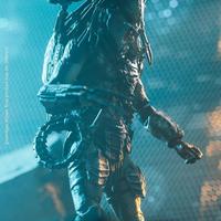 Gambar Hiya Toys Alien vs. Predator 2 : Unmasked Wolf Predator Action Figure dari Fidgetoys.id undefined 3 Tokopedia