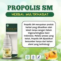 Gambar Propolis Sm - Atasi Gumpalan Lemak Di Kelopak Mata Xanthelasma Milia Bintik Di Dekat Mata Milia Di Wajah Beruntusan di Wajah Tetes Cair Xanthelasma dari Herbaya store undefined 2 Tokopedia
