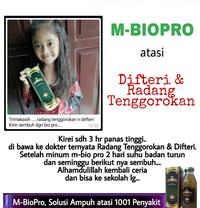 Gambar Obat Sakit Tenggorokan Nelen Sakit, Sakit Tenggorokan Dan Batuk, Obat Sakit Tenggorokan Paling Ampuh, Sakit Tenggorokan Dan Pilek, Sakit Tenggorokan Kering, Radang Tenggorokan - Mbiopro Asli Original dari Jamu Instan JAYYIDA undefined 3 Tokopedia