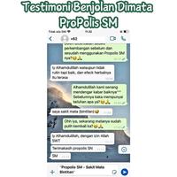 Gambar Propolis Penghilang Milia Di Bawah Kelopak Mata,  Bintik Putih, Bercak Putih, Jerawat Putih, Bintik Hitam, Benjolan Putih Kecil, Kutil Di Wajah, Bruntusan, Flek Hitam, Jerawat Batu, Biang Keringat, Bintil Di Kulit dari irvan herbal store undefined 5 Tokopedia