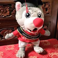 Gambar Boneka Custom nama Satuan - 30cm dari Chuky Kuky undefined 4 Tokopedia