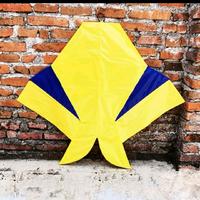 Gambar Layangan Cotek Belolong Murah Motif Bervariasi Warna Hijau Merah Kuning Barang yang Dikirim Random dari ZAW Fhising & Kite undefined 5 Tokopedia
