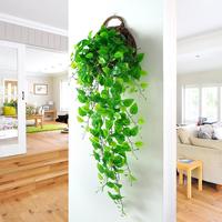 Gambar 【Harga Grosir】Daun Rambat Sulur Palsu Ivy Anggur Semangka Dekorasi Juntai Gantung Rumput Dinding Bunga Plastik Tanaman tanaman hias gantung daun hias hanging tree - Daun Anggur (90cm), Beli 1 dapatkan 1 gratis (2 pcs) dari GPM HOME LIVING_NEW undefined 3 Tokopedia