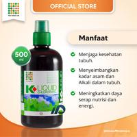 Gambar K-Link K-Care Chlorophyll Suplemen Kesehatan Klorofil 500 ML dari EVCARE undefined 4 Tokopedia