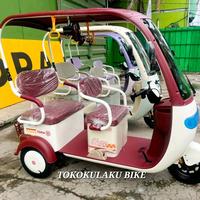 Gambar SEPEDA RODA TIGA TORA ATAP JOOZU GOLF 1000 WATT ORIGINAL dari Tokokulaku.Bike undefined 2 Tokopedia