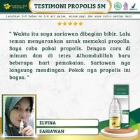 Gambar Propolis SM Obat Amandel Bengkak, Radang Amandel, Sakit Tenggorokan, Demam Dan Kesulitan Menelan - 6ml dari HerbalZen undefined 4 Tokopedia