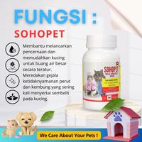 Gambar Obat Susah BAB Kucing Sulit Buang Air Besar Sembelit Kucing Fefarm dari FEFARM_NEW undefined 5 Tokopedia