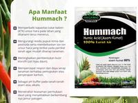Gambar Hummach 100gr Pupuk Asam Humat/Humic Acid Bisa Spray & Kocor Untuk Menyuburkan Tanah Dan Mengatasi Daun Kriting, Kerdil Atau Kuning Tumbuhan Tanaman sehat dari machfud213 undefined 3 Tokopedia