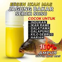 Gambar Essen Oplosan Jagung Bakar Sereh Susu Amis Wangi Gurih Target Ikan Mas Babon Rame Paling Ampuh Gacor dari Nanjung Fishing_NEW undefined 1 Tokopedia