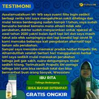 Gambar Propolis SM - Cairan Pembersih Kotoran Telinga Anak dan Dewasa, Obat Tetes Telinga Ear Kuping Gatal Bersihkan - Propolis SM dari HERBAL BATARI EMBUN undefined 3 Tokopedia