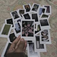 Gambar CETAK FOTO POLAROID 2R MURAH BERKUALITAS - 50 FOTO dari Ruang Kreasi ID undefined 3 Tokopedia